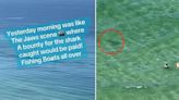 Tourists scream 'shark' at swimmers with no idea predator is circling them