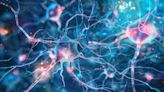 AI Identifies Three Parkinson's Subtypes - Neuroscience News