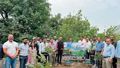 Solan: Highways authority holds plantation drive