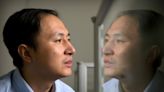I feel like any father, says discredited scientist jailed for editing babies’ genes