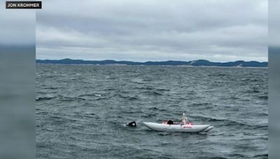 Marathon swimmer Jim "The Shark" Dreyer fails latest attempt to cross Lake Michigan