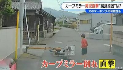 日本人「合力」讓寵物小便「揦到斷」 金屬標誌桿倒塌壓傷男童