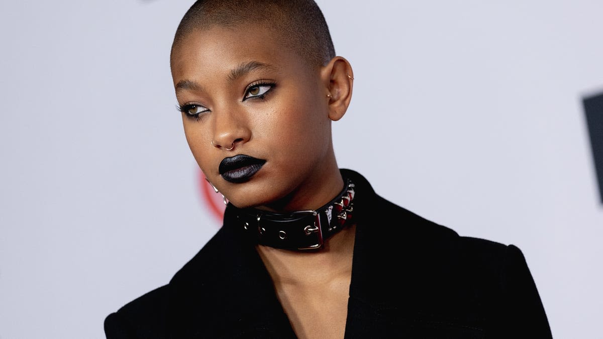 'Nepo Baby' Where? Here's Why Willow Smith Rejects That Title