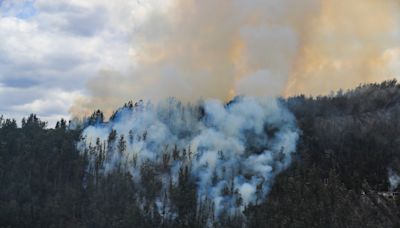 Equipo Humanitario de la ONU apoyará a Ecuador en mitigación de incendios y sequía