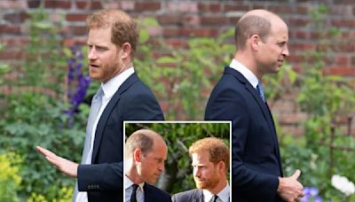 Prince Harry and Prince William’s ‘very bad’ rift is ‘not irreparable’: report