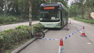 迪士尼神奇道巴士撞單車 女子昏迷送院