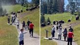 Video showing family of tourists walking straight into buffalo herd sparks outrage online: ‘Keep your kids away’