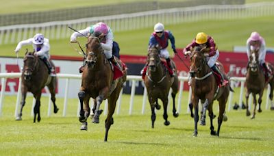 Templegate's Irish Derby runner-by-runner guide and tip on World Pool day
