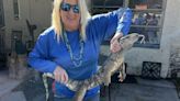 ‘It had some power to it’: Huge monitor lizard caught in West Tampa