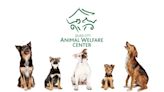 Quad City Animal Welfare Center needs volunteers for pet clinics