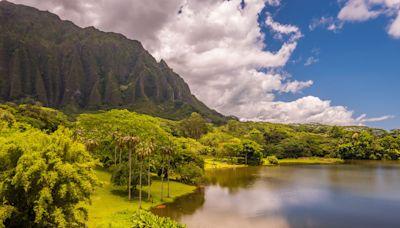 Hawaii tourists break rules at this popular attraction for photo