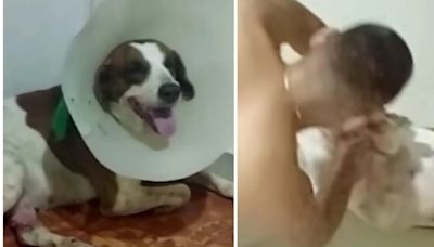 Mientras violaba a una perra, grabaron en video a un hombre en Florencia, Caquetá