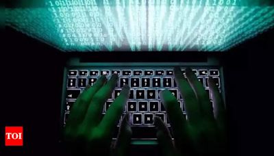Australia sounds warning over state-backed Chinese hackers - Times of India