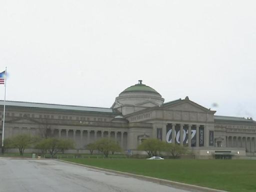 10-year-old girl sexually assaulted at Chicago's Museum of Science and Industry