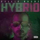 Hybrid (Collie Buddz album)