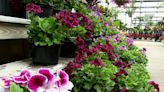 Rosecrance partners with Gensler Gardens for Flower Day fundraiser