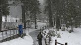 Esquiador muere al ser enterrado por una avalancha en Idaho - El Diario NY
