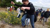 A unique Bay Area wildlife refuge is beginning to thrive again — but its most fascinating endangered species is still in peril