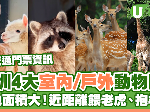 深圳4大室內/戶外動物園！佔地面積大、接觸可愛小動物 | U Travel 旅遊資訊網站
