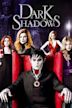 Dark Shadows (film)