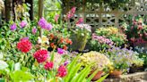 Garden experts name four top tips for keeping beautiful summer garden in June