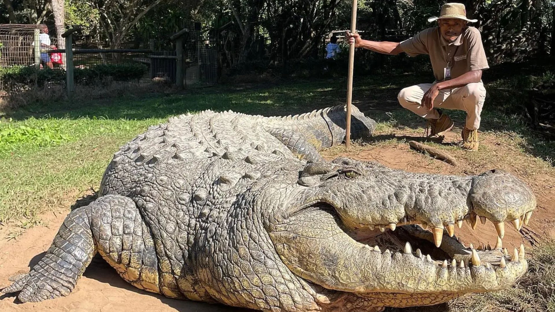 World’s oldest crocodile poses for a snap 'after fathering more than 10k babies'