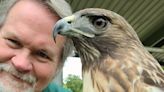 Get to know East Tennessee birds of prey; virtual program is Sept. 7