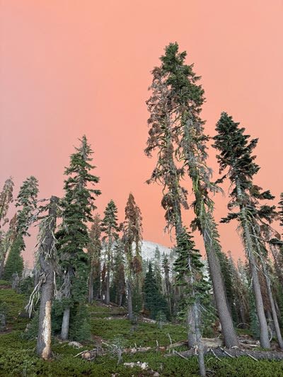 Lassen Volcanic National Park Closed Due to 350,000 Acre Park Fire - Visitors Have Been Evacuated from All Campgrounds, and...