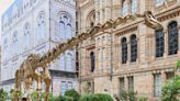 Natural History Museum opens new urban gardens complete with bronze dinosaur