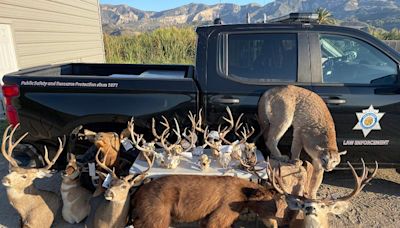 California Department of Fish and Wildlife Announces Ventura County Poaching Convictions Result in Jail Terms and Fines...