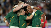 Springboks: Top wingers, fan-favourite added to injury list