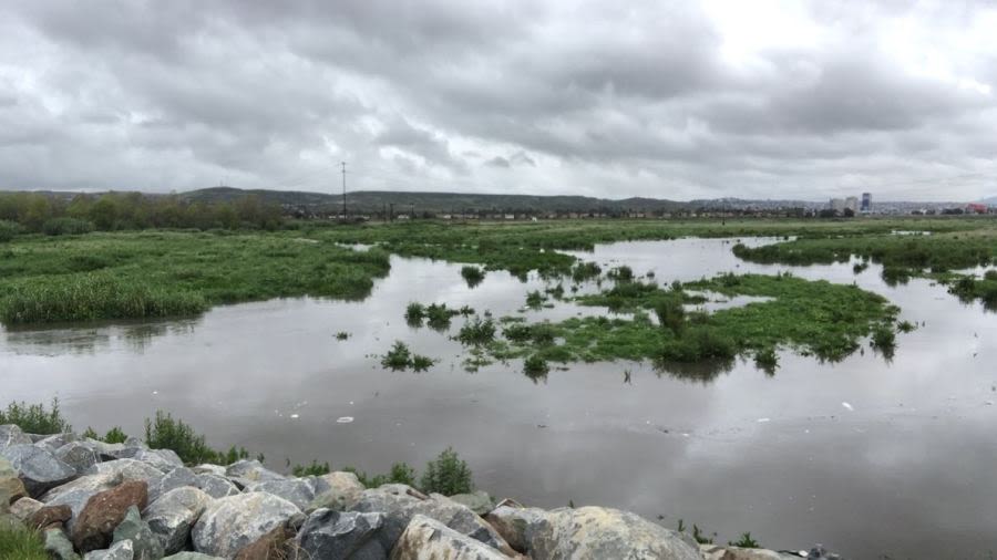 CDC agrees to investigate health impacts of border sewage