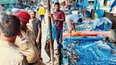 Ludhiana: 33 quintals of banned Thai Magur fish destroyed