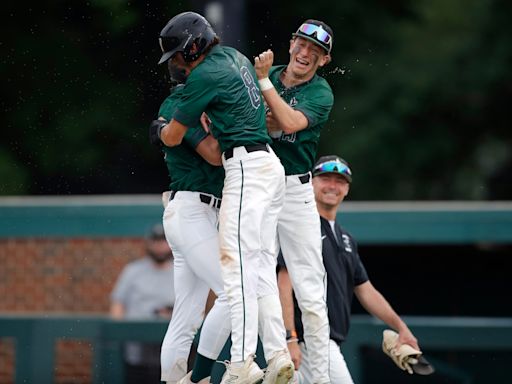 Williamston baseball opens Diamond Classic with walk-off win while Holt, St. Patrick delayed