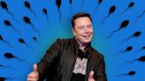 Elon Musk Is Trying to Justify His Breeder Kink, and Failing