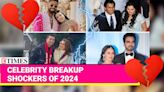 They Said I Do Now It's Over! Hardik Pandya-Natasa Stankovic And Other Shocking Celebrity Splits Of 2024 | Etimes - Times of...