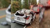 El Dorado County Sheriff’s Office volunteer vehicle struck by fallen tree