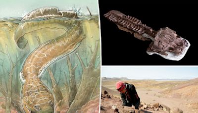Giant, pre-dinosaur super ‘salamander’ with ‘huge fangs’ discovered: ‘Really surprising’