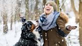 32 best dog breeds for cold climates
