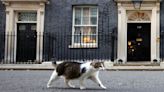 The story of 10 Downing Street’s most famous resident. And it’s not a PM