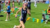 A look at Lenawee County track and field leaders this season