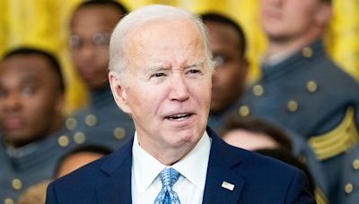 Biden faces widening partisan split over Israel