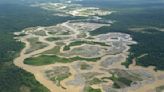Minerías de pequeña escala y artesanal podrían operar en zonas de reserva forestal en Colombia