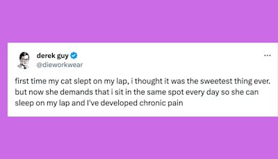 23 Of The Funniest Tweets About Cats And Dogs This Week (June 15-21)