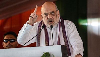 ‘Development graphs of state, Patel community run parallel’: Shah