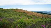 Mount Tamalpais State Park