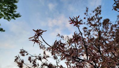 Beautiful, warm spring weather returns to NJ for two whole days