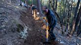 'We have to remake ourselves': Can a new trail help revive this crest of the Sierra?