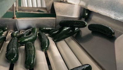 National pickle shortage tied to extreme weather in Mexico