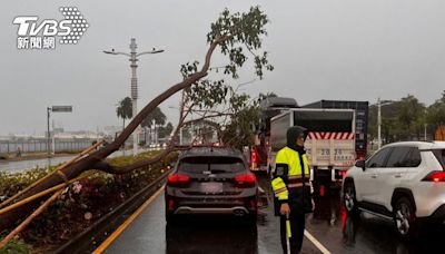 快訊／狂風雨炸高雄路樹又倒塌 Uber停等紅燈衰被重砸